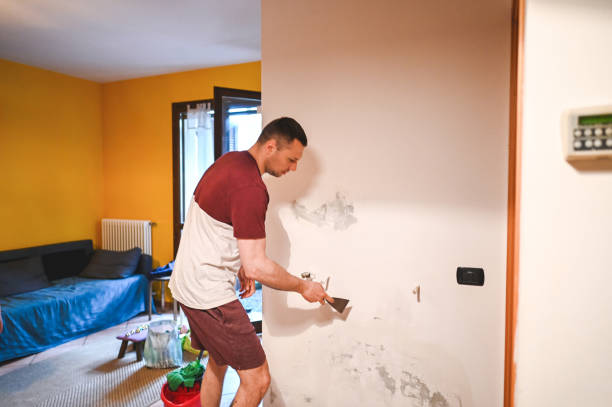 Best Localized Mold Remediation (e.g., coastal areas, humid climates) in Zephyrhills, FL